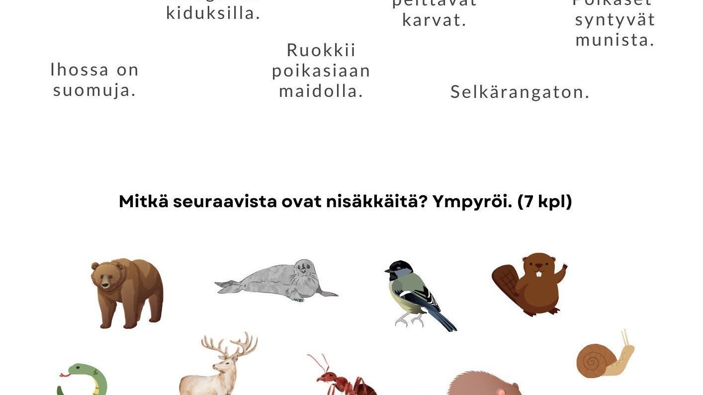 Nisäkäs