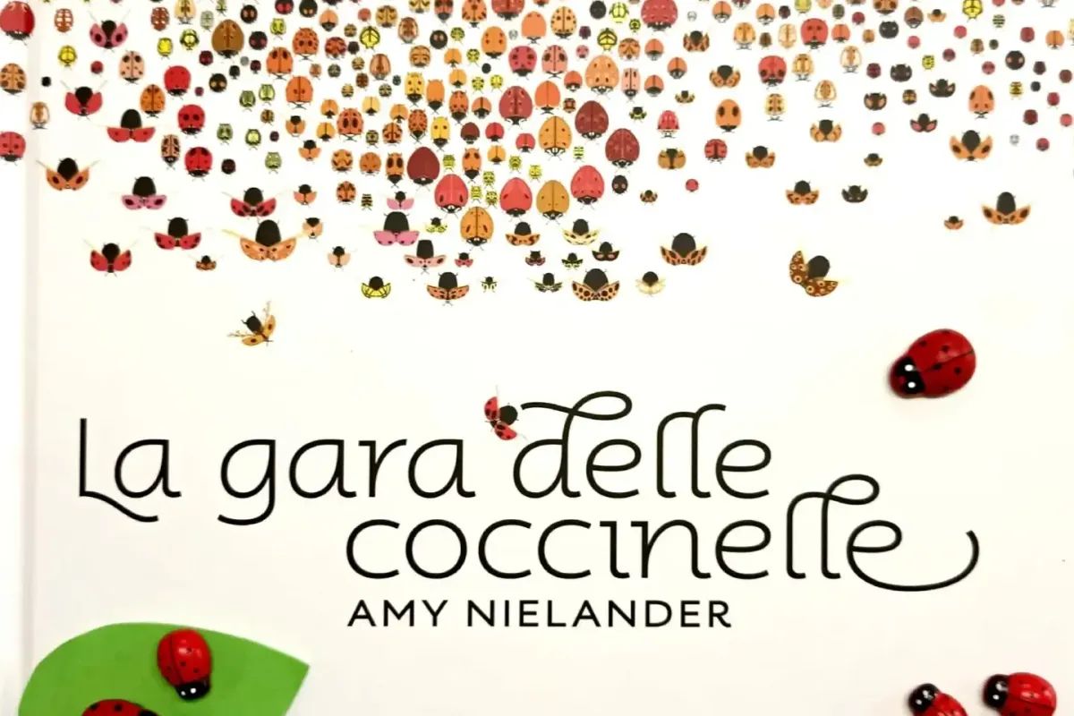 La gara delle coccinelle Freeed